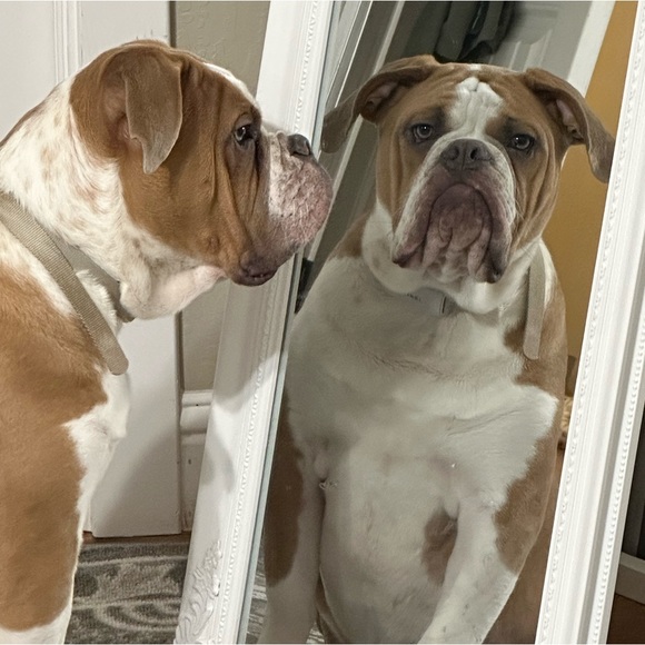 Meet your Posher, Kimberly - Picture 3 of 13